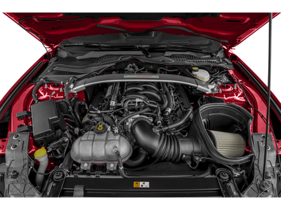 2019 Ford Mustang Shelby GT350R