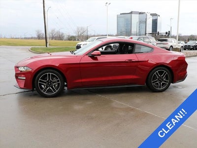 2021 Ford Mustang EcoBoost