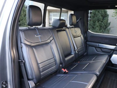 2025 Ford F-150 Platinum