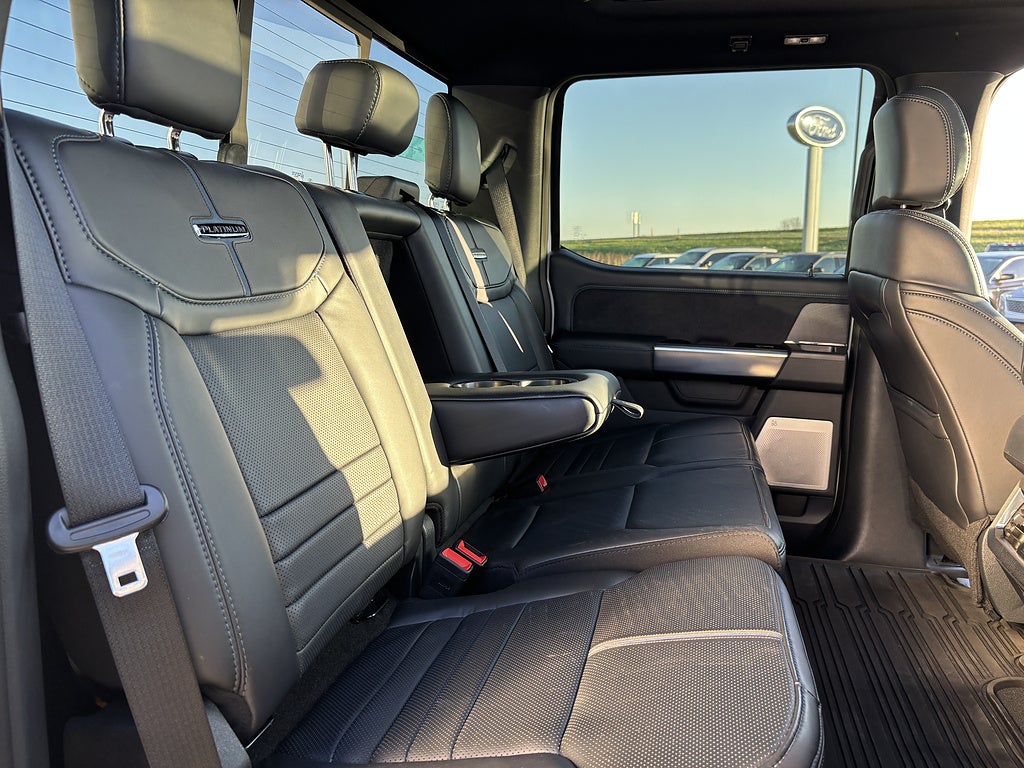 2025 Ford Super Duty F-450 DRW Platinum