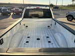 2025 Ford Super Duty F-450 DRW Platinum